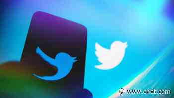 Judge Lets Musk Keep ‘Twitter’ for Now but Forces Him to Release the Bird