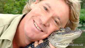 Steve Irwin's heartbreaking last  two words revealed by friend who watched him die