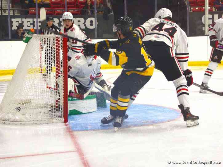 Brantford Bulldogs impressive in 7-1 win against Niagara IceDogs