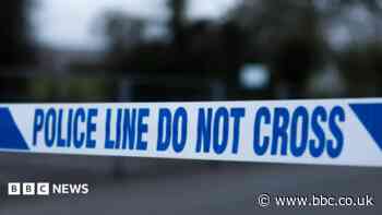 Murder investigation launched after body found
