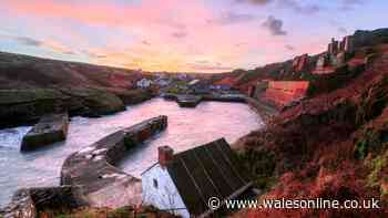Hidden along the Welsh coast is a tiny seaside port village with one of the country's best fish and chip shops