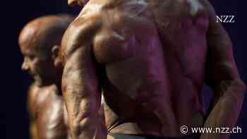 Als Muskeln Kunst wurden: Wie zwei Brüder das Bodybuilding in den Mainstream brachten – und Arnold Schwarzenegger zum Star machten