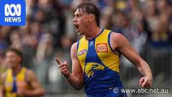 How Harley Reid copes with the hype of being WA's most famous sportsman