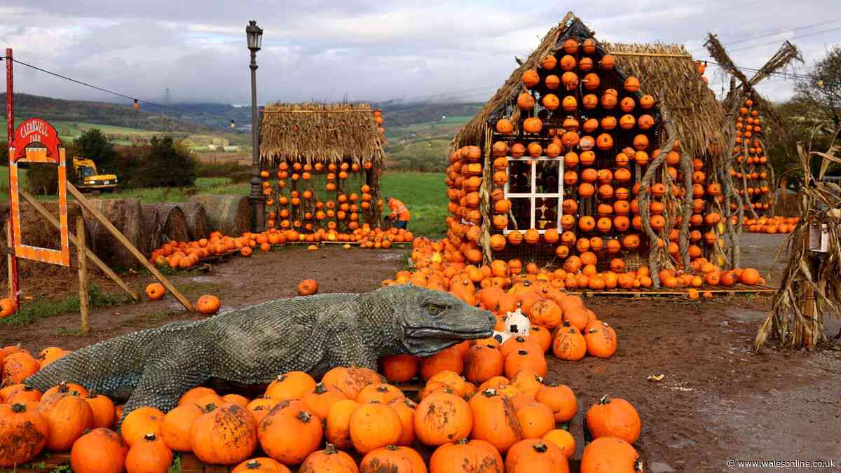 Halloween 2026 events around Cardiff you have to book now, including an adrenaline-fuelled adventure