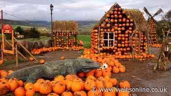 Halloween 2026 events around Cardiff you have to book now, including an adrenaline-fuelled adventure
