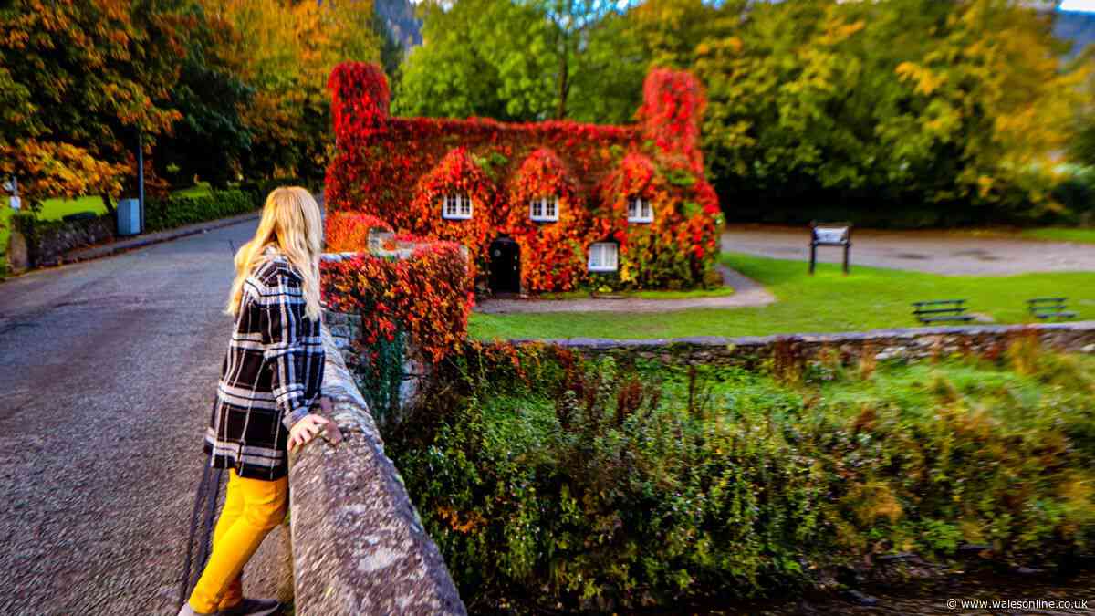 Autumn is the best time to book a weekend away in Wales, do it now and thank me later