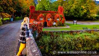 Autumn is the best time to book a weekend away in Wales, do it now and thank me later