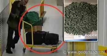 Ploeteren met koffers vol geld: Britse postbode onderschept drugspakketten en start eigen wiethandel