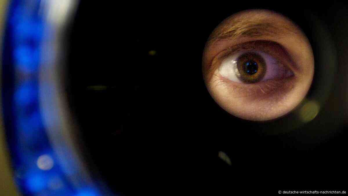 Biometrie-Panne: Die gefährlichste Rolle ist der Zwilling