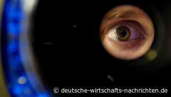Biometrie-Panne: Die gefährlichste Rolle ist der Zwilling