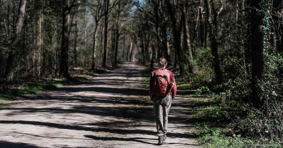 Zonnig weekend op komst: perfect weer voor wandeling of fietstocht, maar een bui is niet uitgesloten