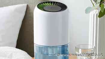 Dunelm's small dehumidifier that 'doesn't eat up the electric' drops to £9.50