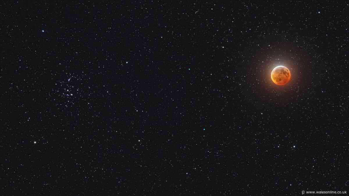 Stargazers to get rare treat in days with 'Demon Star' meteor shower and 4 other sky events