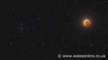 Stargazers to get rare treat in days with 'Demon Star' meteor shower and 4 other sky events