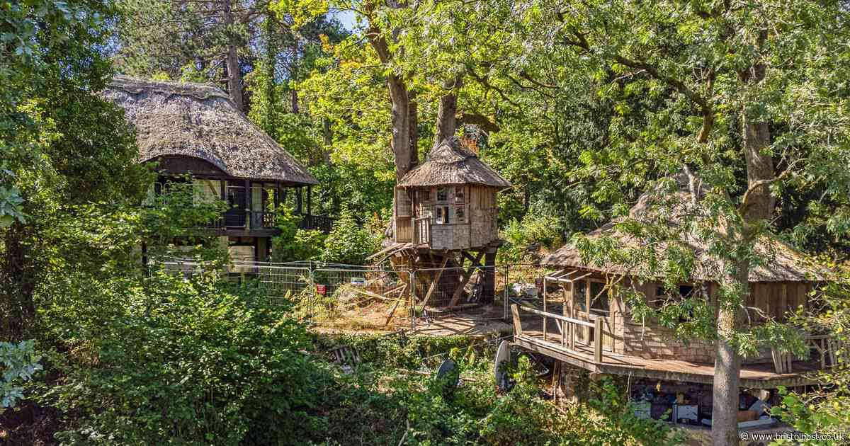 Historic woodland home with treehouses, lake and views of Clifton Suspension Bridge for sale