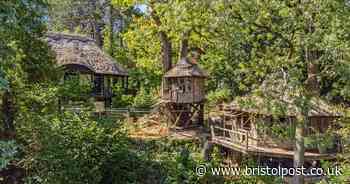Historic woodland home with treehouses, lake and views of Clifton Suspension Bridge for sale