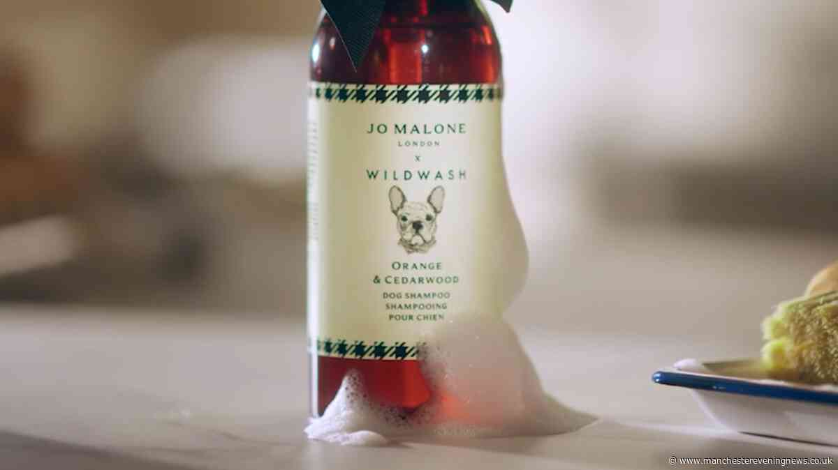 Jo Malone launches 'divine' dog shampoo and you can get it for £3 in launch deal