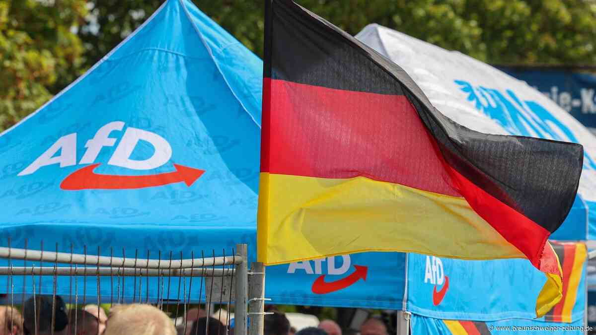 Aufstieg der AfD: Auf den Ossis rumzuhacken, ist zu einfach!
