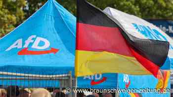 Aufstieg der AfD: Auf den Ossis rumzuhacken, ist zu einfach!