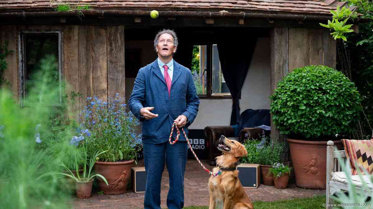 Monty Don says do one thing to your lawn this September so it recovers