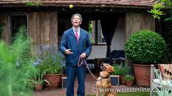 Monty Don says do one thing to your lawn this September so it recovers