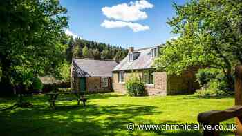 'Paradise' Northumberland stay with 'beautiful views from every window'