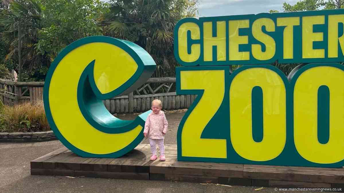 'We spent a rainy day at Chester Zoo with a toddler - this is how many animals we saw'