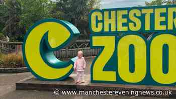 'We spent a rainy day at Chester Zoo with a toddler - this is how many animals we saw'