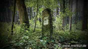 Selbstschussanlage tötet 1878 Jungbauern: Fuß zerschmettert, im Wald verblutet