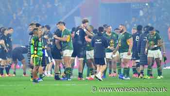 Ex-Wales coach wades in on Springboks 'debacle' and chief makes feelings clear on Welsh duo