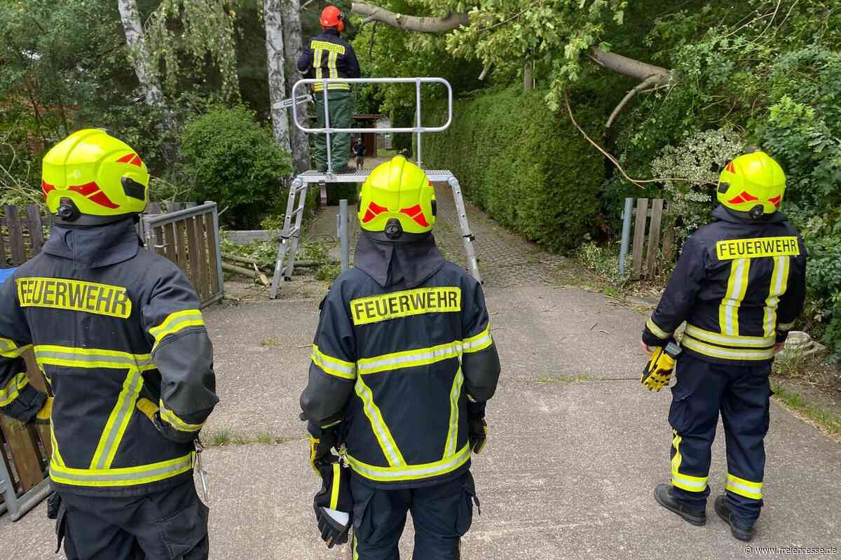 Rochlitz: Feuerwehrleute entfernen Hindernis