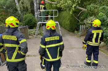 Rochlitz: Feuerwehrleute entfernen Hindernis