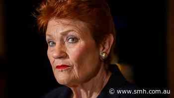 ‘Populism 101’: Hanson branded hypocrite over violence claims