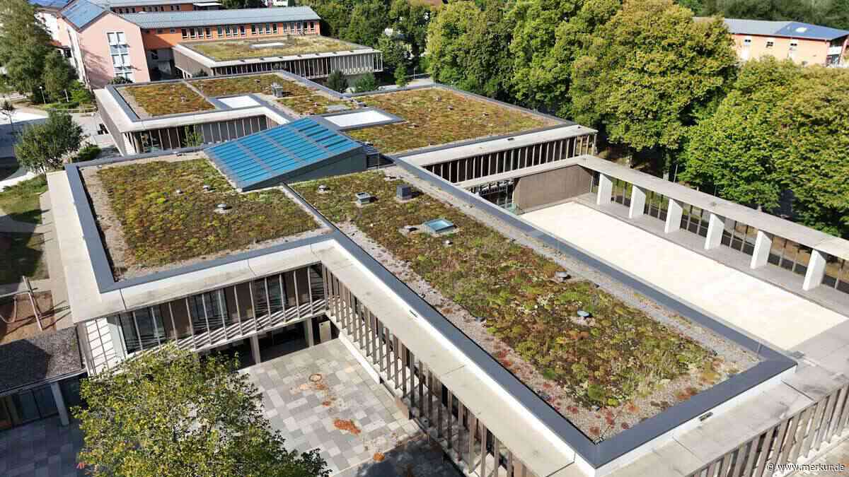 Schwammstadt-Konzept: Stadt will Parkplätze entsiegeln, Bäume erhalten und Fassaden begrünen