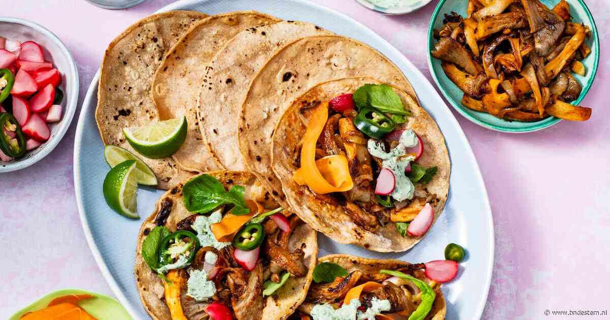 Wat Eten We Vandaag: Pulled oesterzwam-taco's met radijssalsa