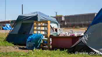 Homelessness, encampments top issue for northwestern Ontario voters, CBC survey says