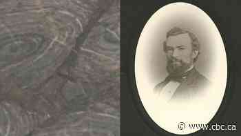 How a Saint John man found the oldest fossils in Atlantic Canada