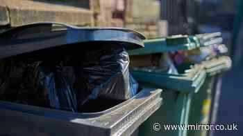 Binman's simple way to stop your bins getting lost - 'just stick it on'