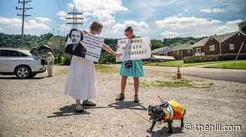 Democrats see midterm gift in Trump embrace of data centers