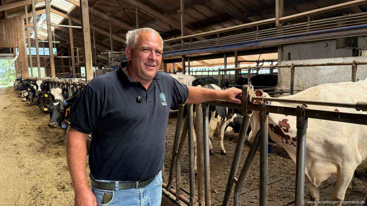 Extrem-Sommer lässt Bauern keine Ruhe: Landwirte fürchten um ihre Tiere