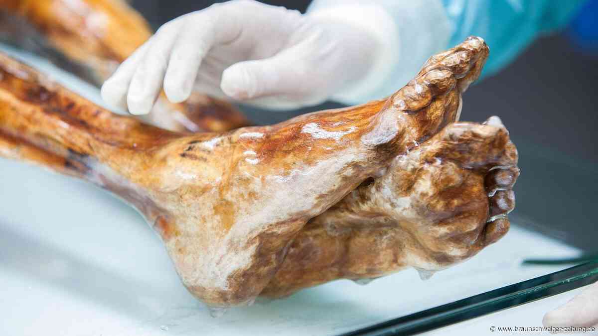 Fluch der Mumien? Warum illegale Graböffnungen lebensgefährlich sind