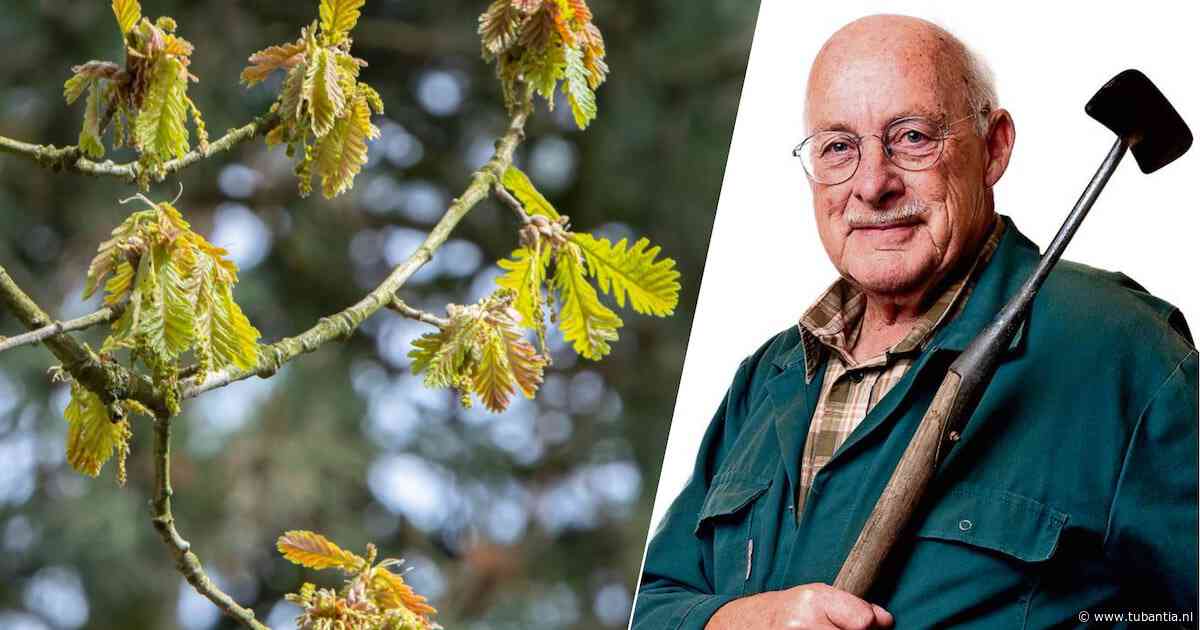We vergeten de natuurlijke airco, die we weliswaar uit het buitenland moeten halen