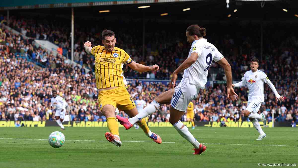 Is Brighton v Leeds United on TV? Kick-off time and live stream info