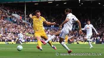 Is Brighton v Leeds United on TV? Kick-off time and live stream info