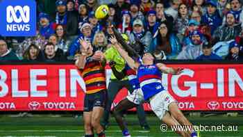 Live: Crows, Dogs in fierce elimination final in Adelaide