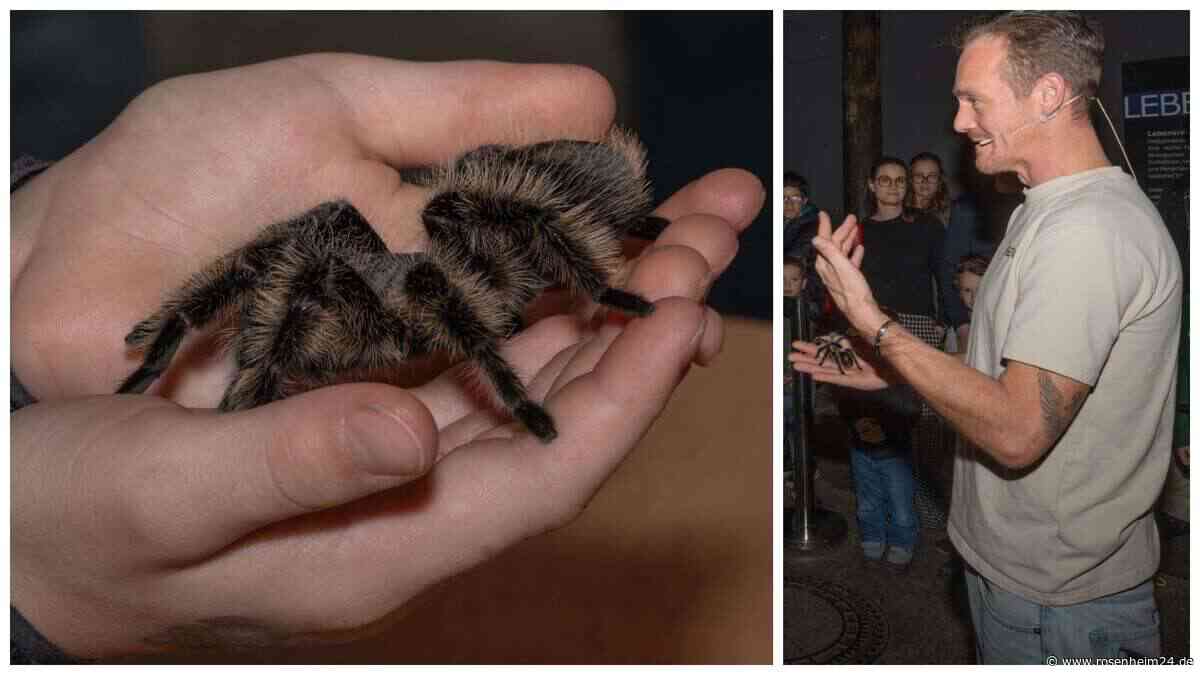 Vogelspinnen, Skorpione und Tausendfüßler sorgen in Kolbermoor für das große Krabbeln