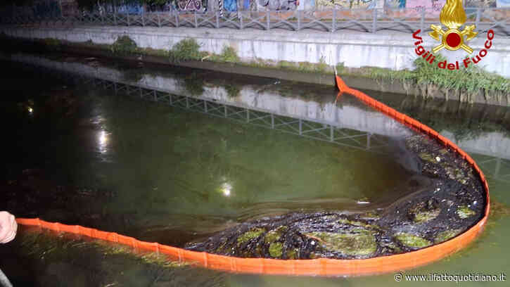 Allarme a Milano, sversamento di gasolio nel Naviglio: la chiazza è estesa 28 km. Installate le barriere di contenimento