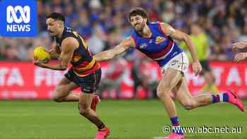 Live: Crows, Dogs in fierce elimination final after Swans stun the AFL