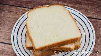 Hovis shares the best method to store bread so it stays fresh for longer