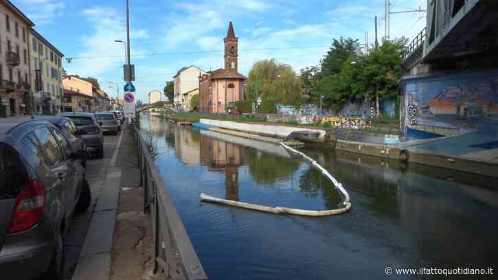 Sversamento di oli nel Naviglio, “danni pesanti alla biodiversità”: chiuse le rogge per evitare danni all’agricoltura. Le probabili cause